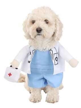 Halloween Costumes.com Pet Dog Doctor Costume -